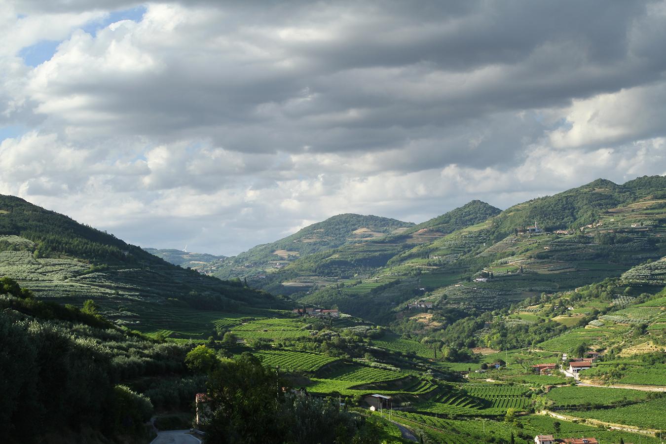Villa Di Cazzano - Bioluxury Living سواف المظهر الخارجي الصورة