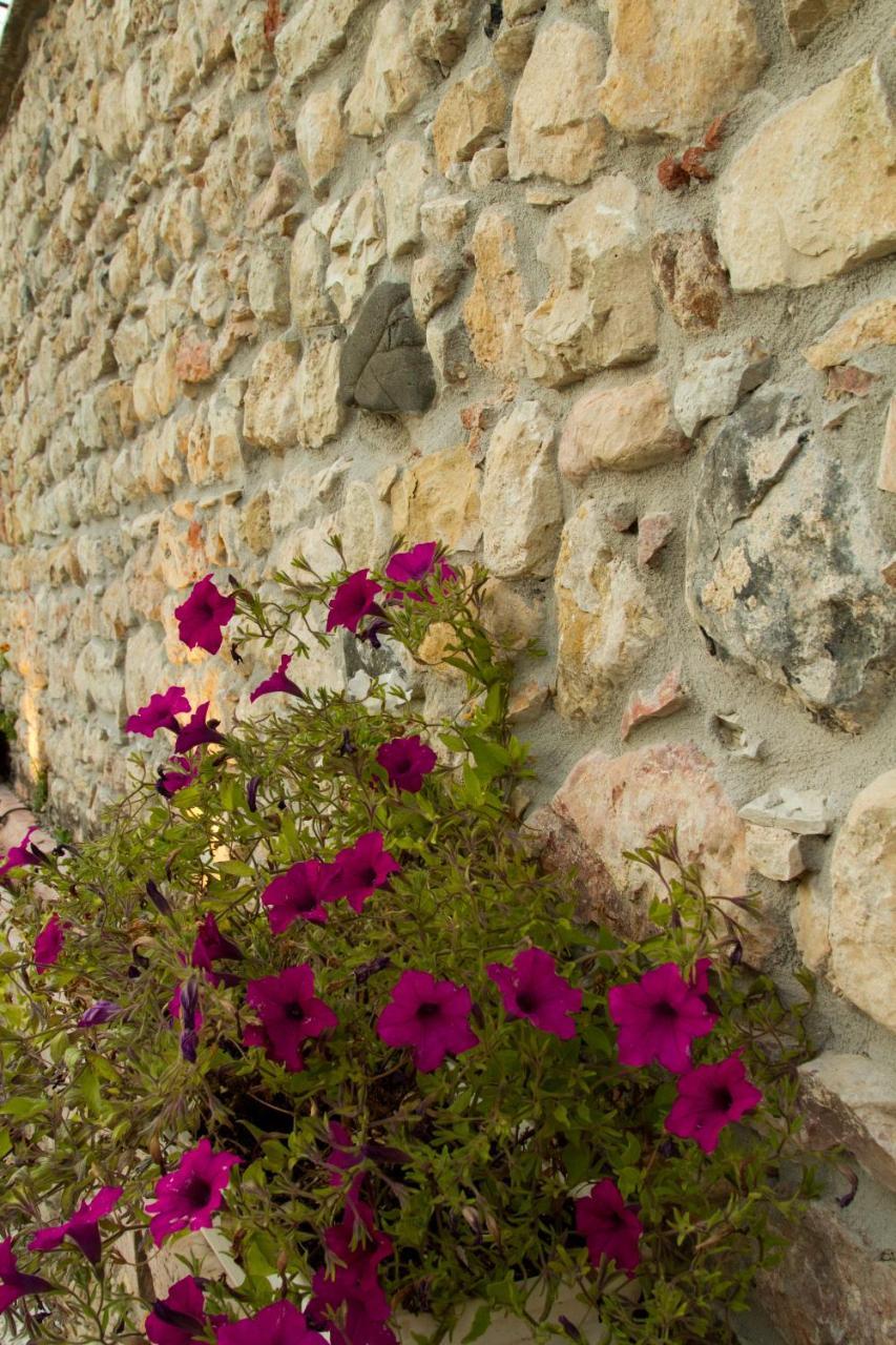Villa Di Cazzano - Bioluxury Living سواف المظهر الخارجي الصورة