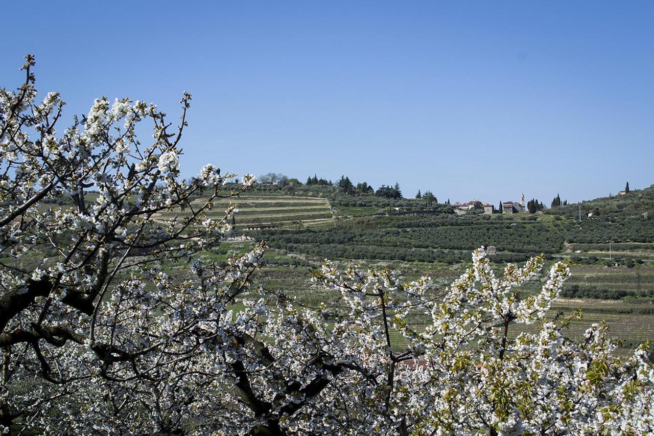 Villa Di Cazzano - Bioluxury Living سواف المظهر الخارجي الصورة